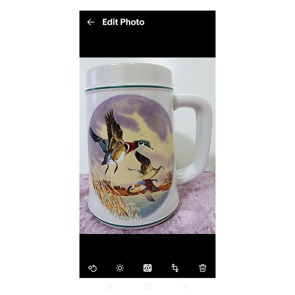 Vintage stain beer mug flying ducks bird brazil men cave hunting farmhouse